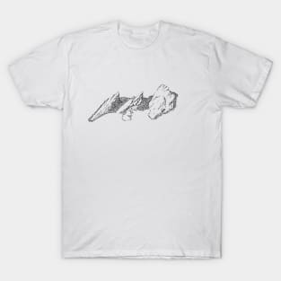 Guinea Pig Flatirons T-Shirt